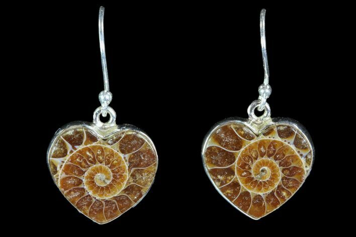 Fossil Ammonite Earrings - Sterling Silver #81629